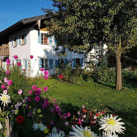 Ferienwohnung Hofen 5 ไพทิง ภายนอก รูปภาพ