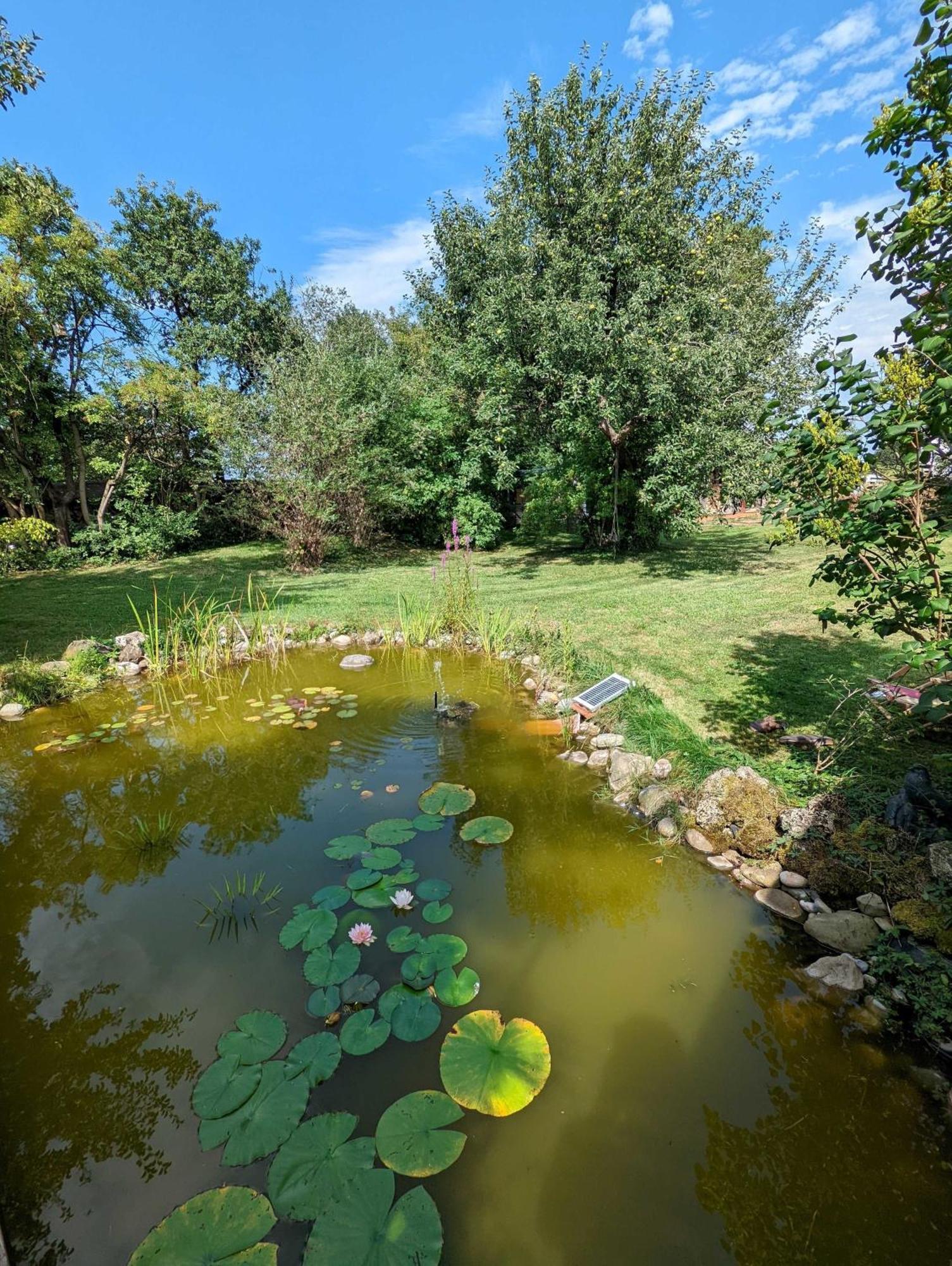 Ferienwohnung Hofen 5 ไพทิง ภายนอก รูปภาพ