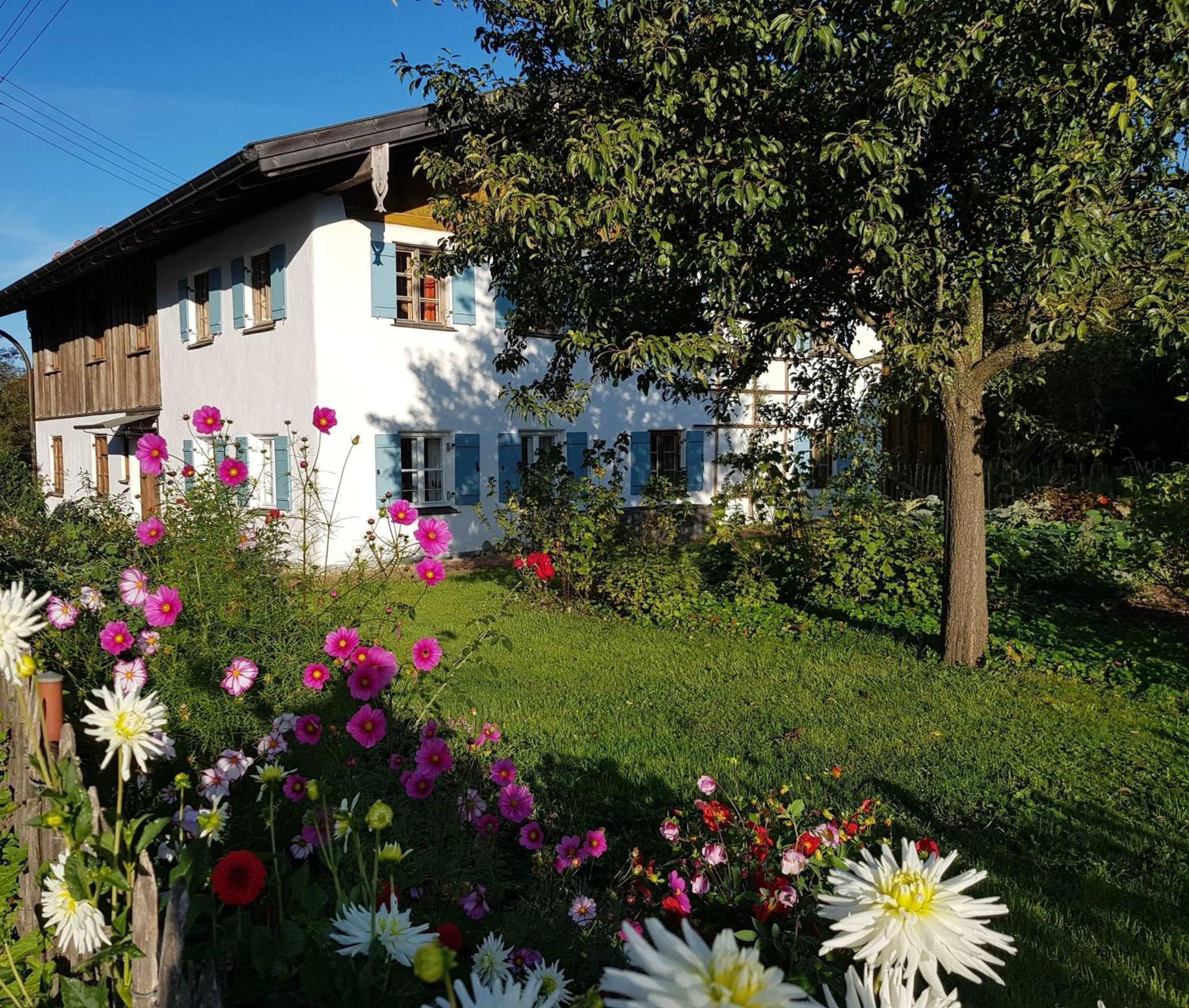 Ferienwohnung Hofen 5 ไพทิง ภายนอก รูปภาพ