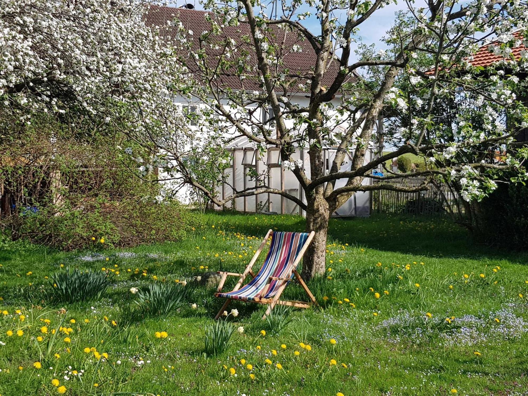 Ferienwohnung Hofen 5 ไพทิง ภายนอก รูปภาพ